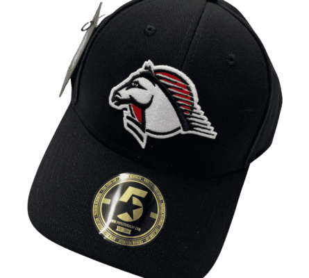 ECH Retro-Cap 2024 – Schwarz